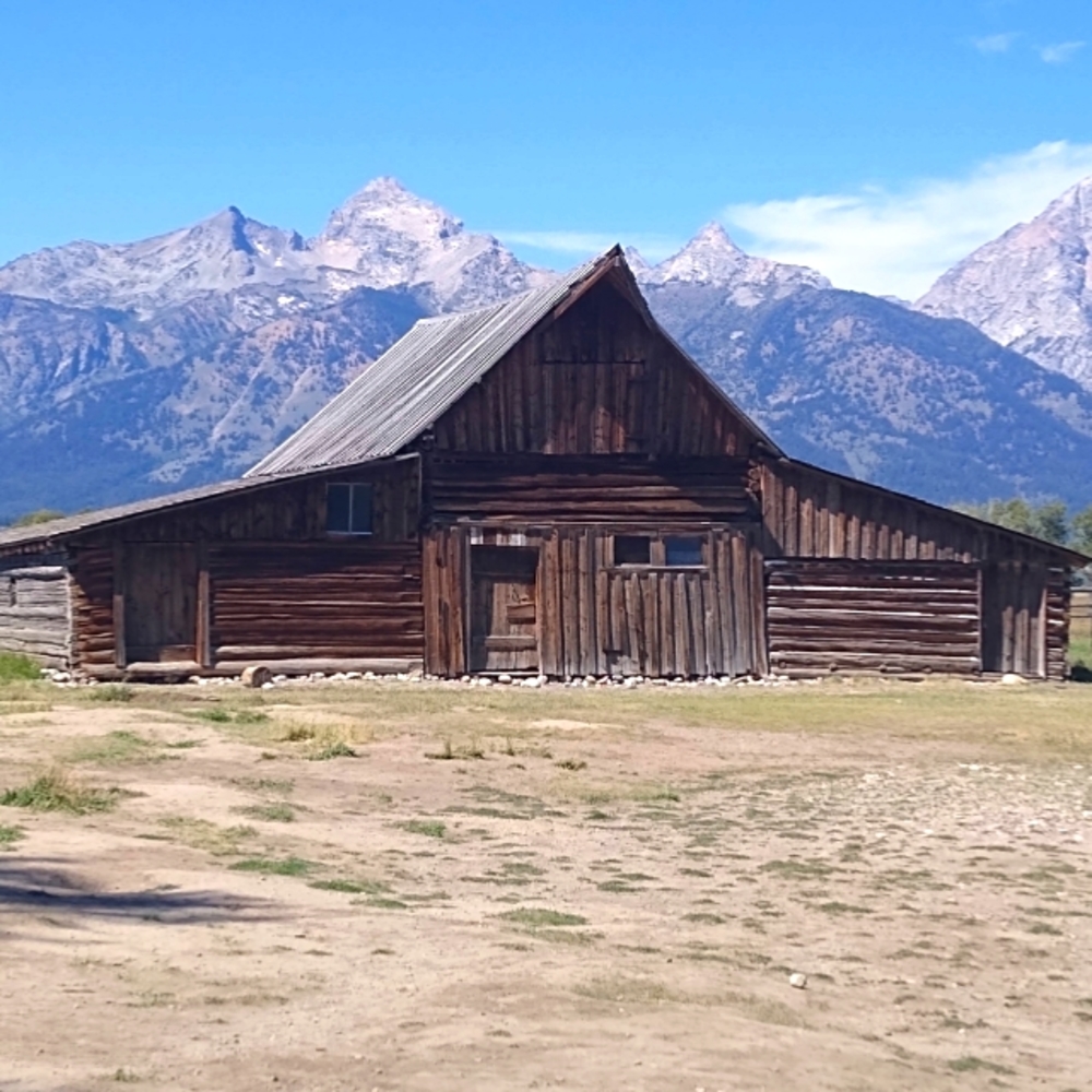 Meet your Posher!🐴